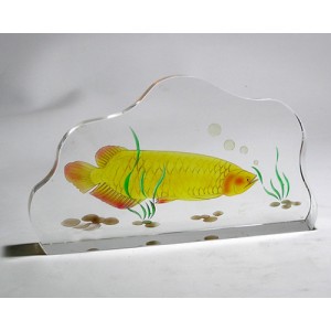 CRYSTAL IMAGE-IGT-CP0003